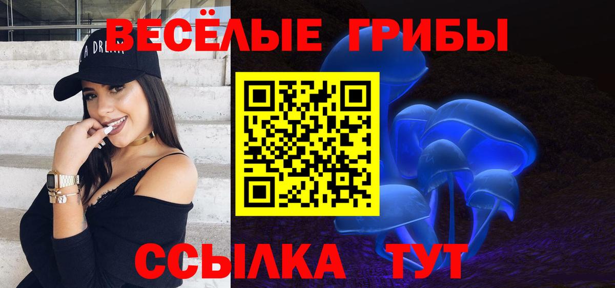 Галлюциногенные грибы Psilocybine cubensis  Псилоцибиновые грибы Psilocybine cubensis  Александров  Вход с VPN 